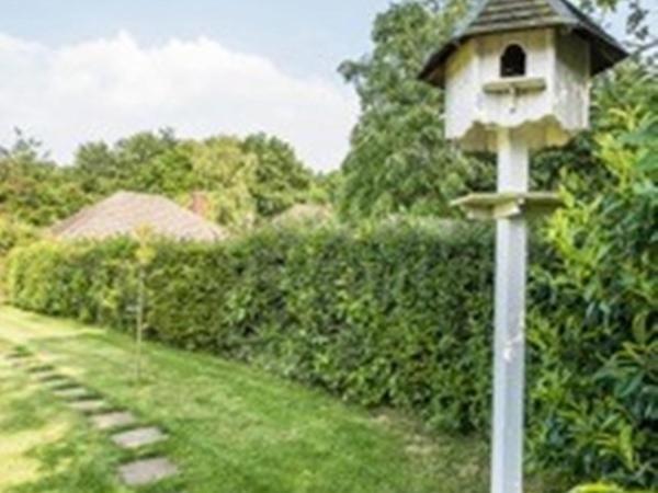Knole B&B Sevenoaks Εξωτερικό φωτογραφία